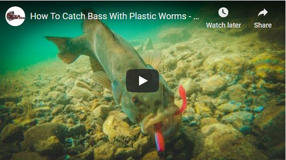 How To Catch Bass With Plastic Worms – Amazing Underwater Footage!!