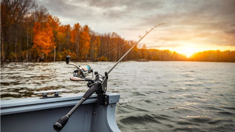 Bass fishing tips for fishing from a boat