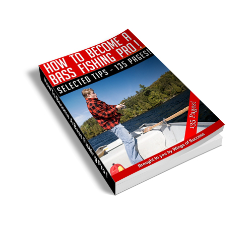 How To Become A Bass Fishing Pro