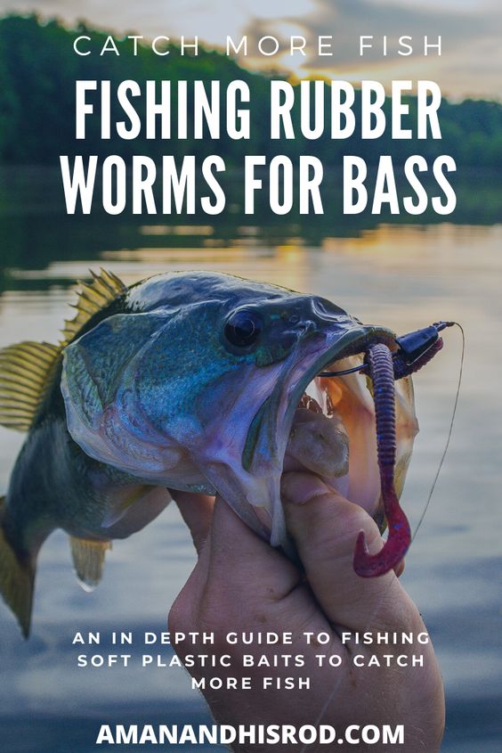 How to Catch Big Mouth Bass Using Swimbaits