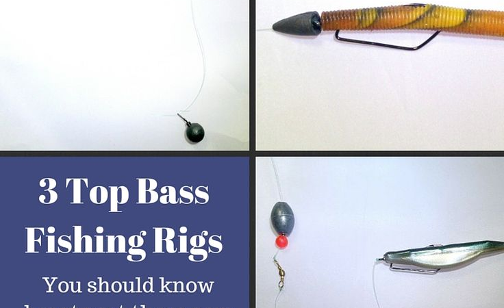 Bass Fishing Rigs Explained