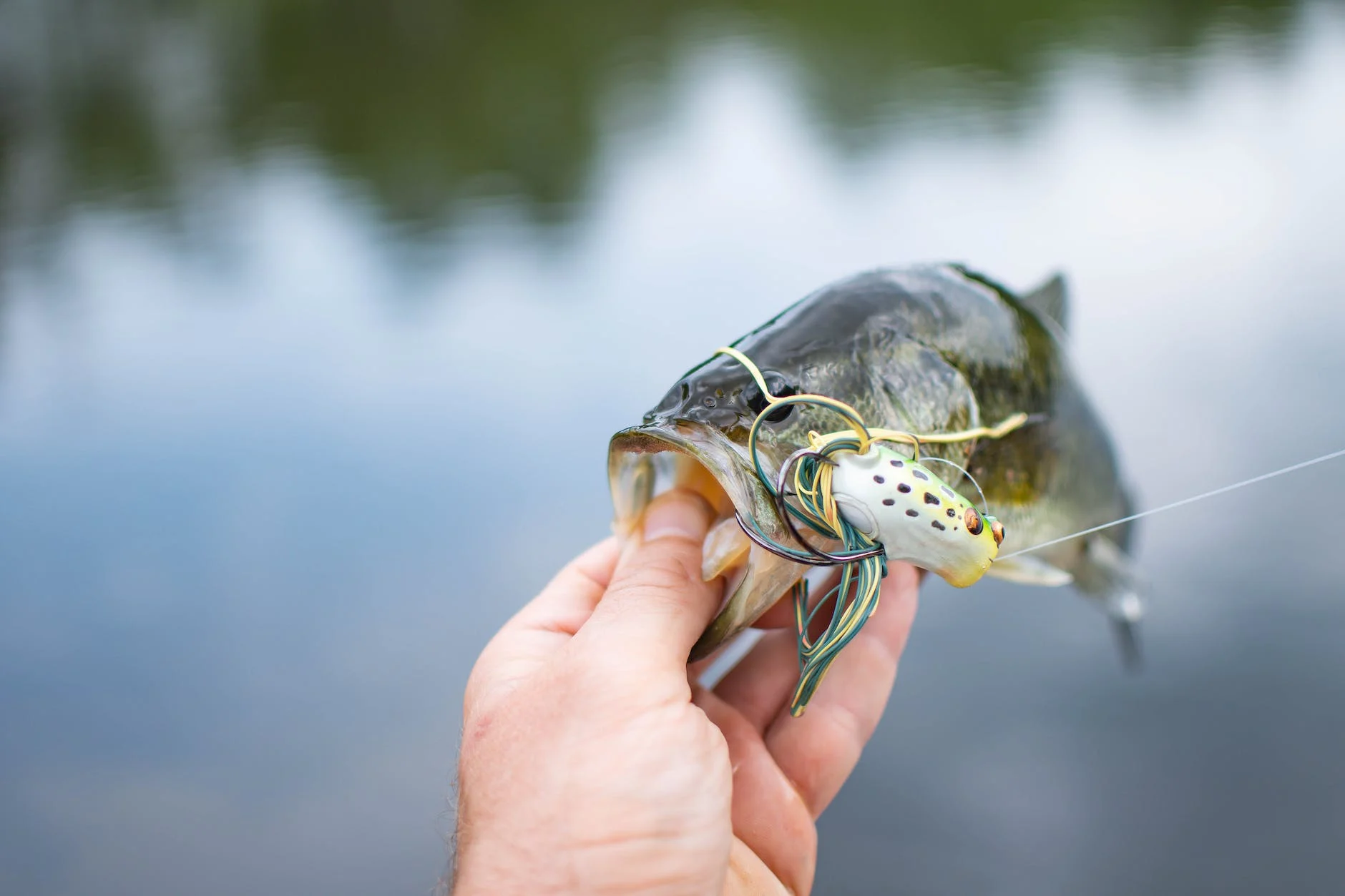 Big Mouth Bass: A Guide to the Best Fishing Spots Around the World.